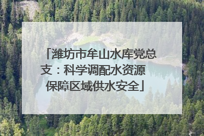潍坊市牟山水库党总支：科学调配水资源 保障区域供水安全