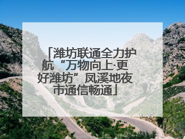 潍坊联通全力护航“万物向上·更好潍坊”凤溪地夜市通信畅通