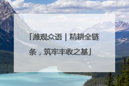 潍观众语｜精耕全链条，筑牢丰收之基