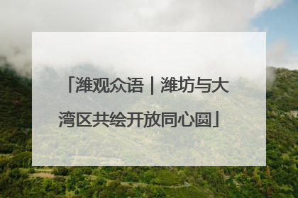 潍观众语｜潍坊与大湾区共绘开放同心圆