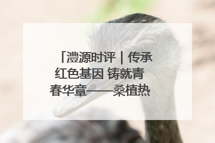 澧源时评｜传承红色基因 铸就青春华章——桑植热土上的青春长征