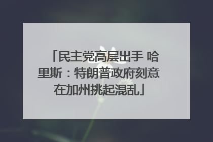 民主党高层出手 哈里斯：特朗普政府刻意在加州挑起混乱