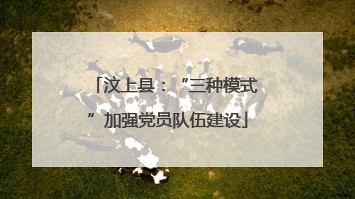 汶上县：“三种模式”加强党员队伍建设
