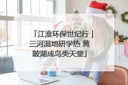 江淮环保世纪行｜三河湿地研学热 黄陂湖成鸟类天堂