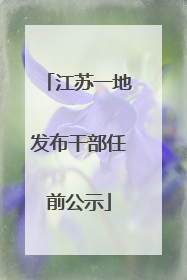 江苏一地发布干部任前公示