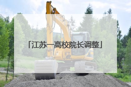 江苏一高校院长调整