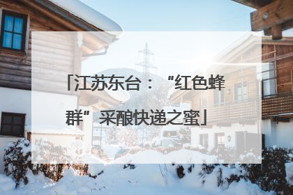 江苏东台：“红色蜂群”采酿快递之蜜