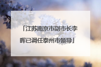 江苏南京市副市长李晖已调任泰州市领导