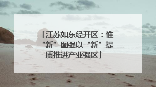 江苏如东经开区：惟“新”图强以“新”提质推进产业强区