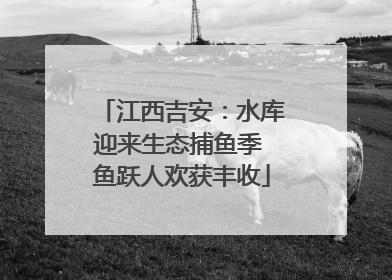 江西吉安：水库迎来生态捕鱼季 鱼跃人欢获丰收