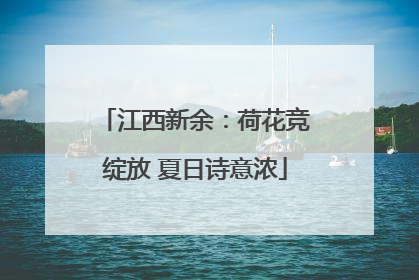 江西新余：荷花竞绽放 夏日诗意浓