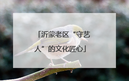 沂蒙老区“守艺人”的文化匠心