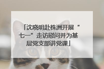 沈晓明赴株洲开展“七一”走访慰问并为基层党支部讲党课