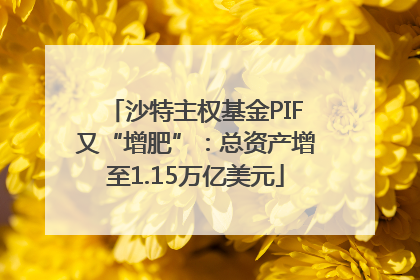 沙特主权基金PIF又“增肥”：总资产增至1.15万亿美元