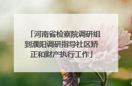 河南省检察院调研组到濮阳调研指导社区矫正和财产执行工作