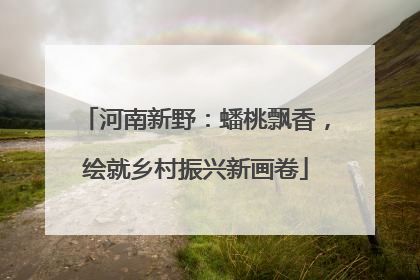 河南新野：蟠桃飘香，绘就乡村振兴新画卷