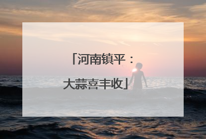 河南镇平：大蒜喜丰收