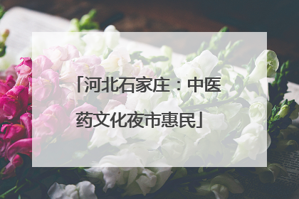 河北石家庄：中医药文化夜市惠民