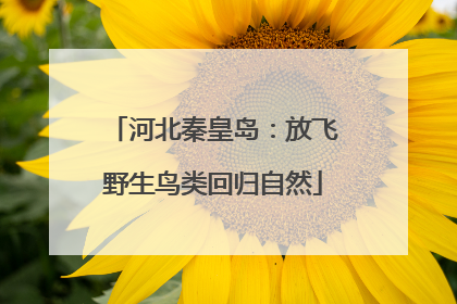 河北秦皇岛：放飞野生鸟类回归自然