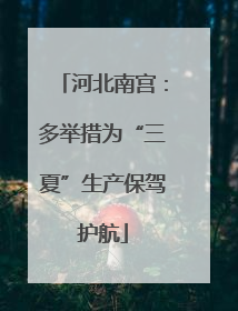 河北南宫：多举措为“三夏”生产保驾护航