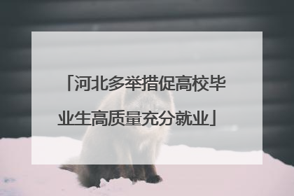 河北多举措促高校毕业生高质量充分就业