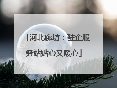 河北廊坊：驻企服务站贴心又暖心