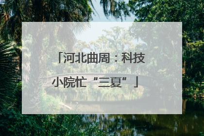 河北曲周：科技小院忙“三夏”