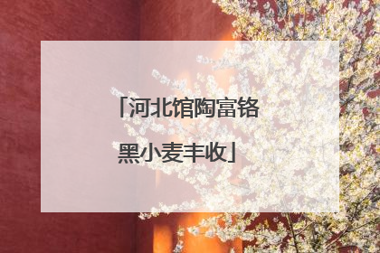 河北馆陶富铬黑小麦丰收