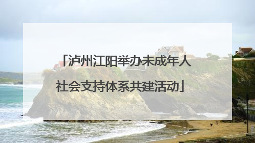 泸州江阳举办未成年人社会支持体系共建活动