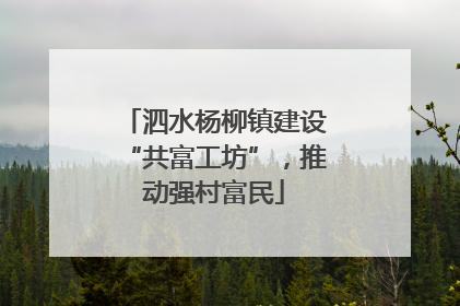 泗水杨柳镇建设“共富工坊”，推动强村富民