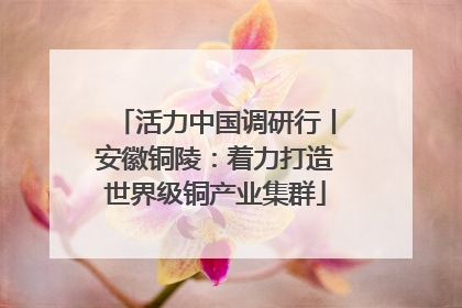 活力中国调研行丨安徽铜陵：着力打造世界级铜产业集群