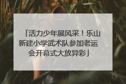 活力少年展风采！乐山新建小学武术队参加老运会开幕式大放异彩