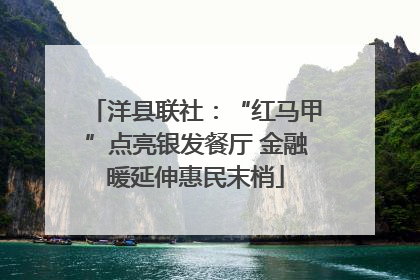 洋县联社：“红马甲”点亮银发餐厅 金融暖延伸惠民末梢