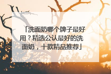 洗面奶哪个牌子最好用？精选公认最好的洗面奶，十款精品推荐