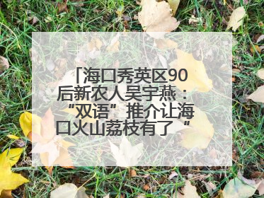 海口秀英区90后新农人吴宇燕：“双语”推介让海口火山荔枝有了“国际范”