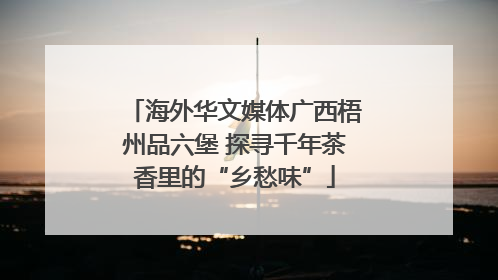海外华文媒体广西梧州品六堡 探寻千年茶香里的“乡愁味”