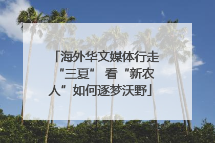 海外华文媒体行走“三夏” 看“新农人”如何逐梦沃野