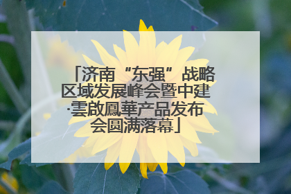 济南“东强”战略区域发展峰会暨中建·雲啟鳳華产品发布会圆满落幕
