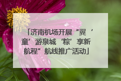 济南机场开展“翼‘童’游泉城‘粽’享新航程”航线推广活动