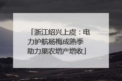 浙江绍兴上虞：电力护航杨梅成熟季 助力果农增产增收