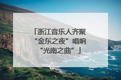 浙江音乐人齐聚“金东之夜”唱响“光南之曲”