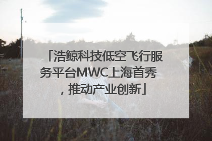 浩鲸科技低空飞行服务平台MWC上海首秀，推动产业创新