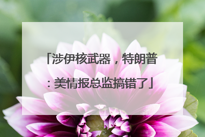 涉伊核武器，特朗普：美情报总监搞错了