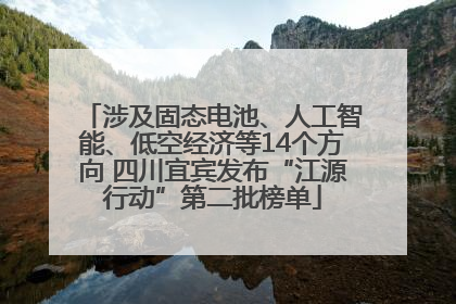 涉及固态电池、人工智能、低空经济等14个方向 四川宜宾发布“江源行动”第二批榜单