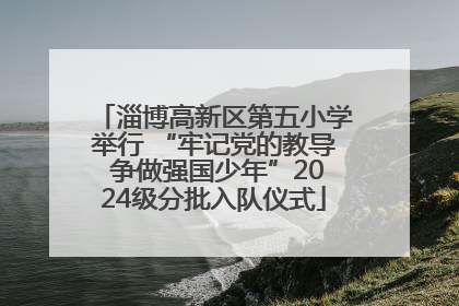 淄博高新区第五小学举行 “牢记党的教导 争做强国少年”2024级分批入队仪式