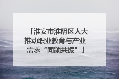 淮安市淮阴区人大推动职业教育与产业需求“同频共振”
