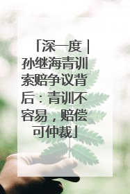 深一度｜孙继海青训索赔争议背后：青训不容易，赔偿可仲裁
