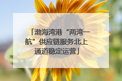渤海湾港“两湾一航”供应链服务北上通道稳定运营