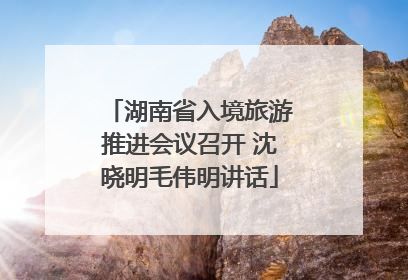 湖南省入境旅游推进会议召开 沈晓明毛伟明讲话