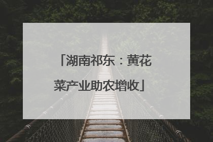湖南祁东：黄花菜产业助农增收